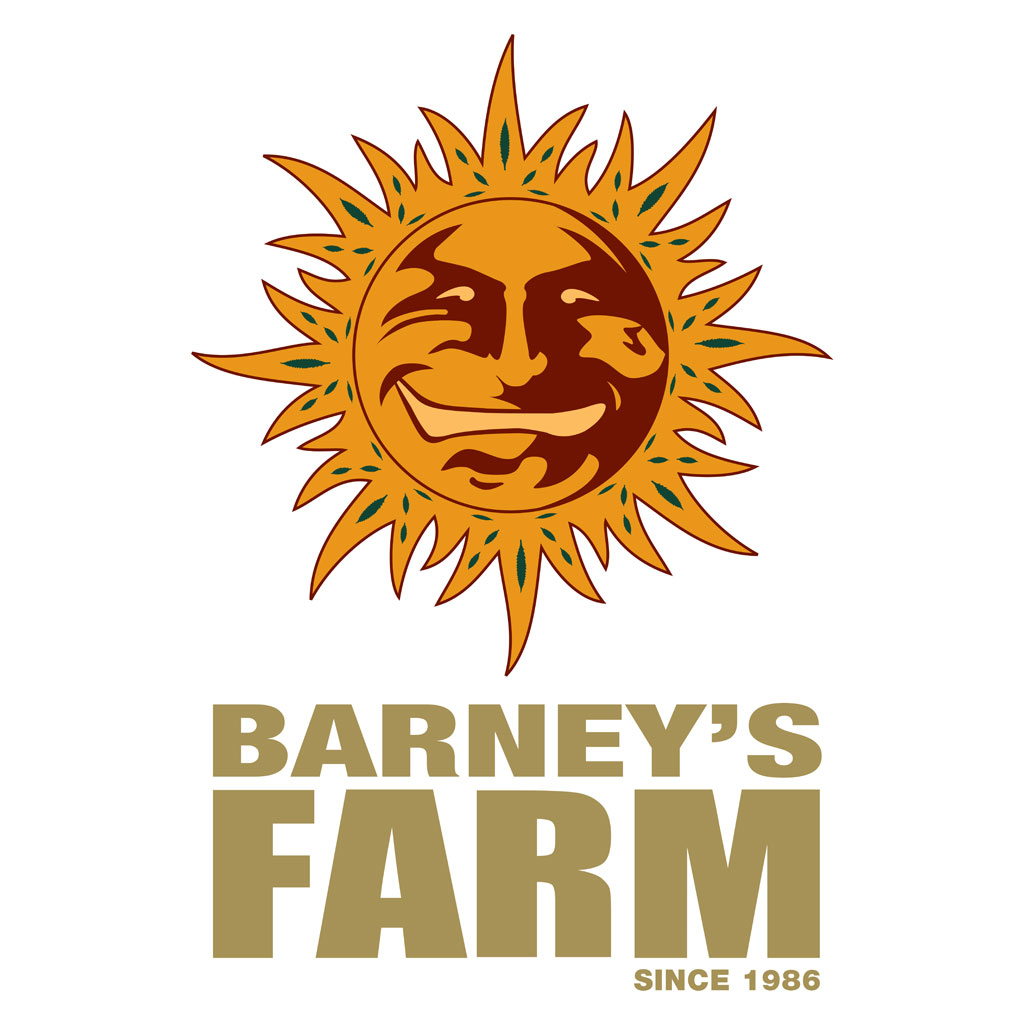 BearBush-Bear-Bush-Botanical-Collective-Barneys-Farm-Cheese-Fem-1